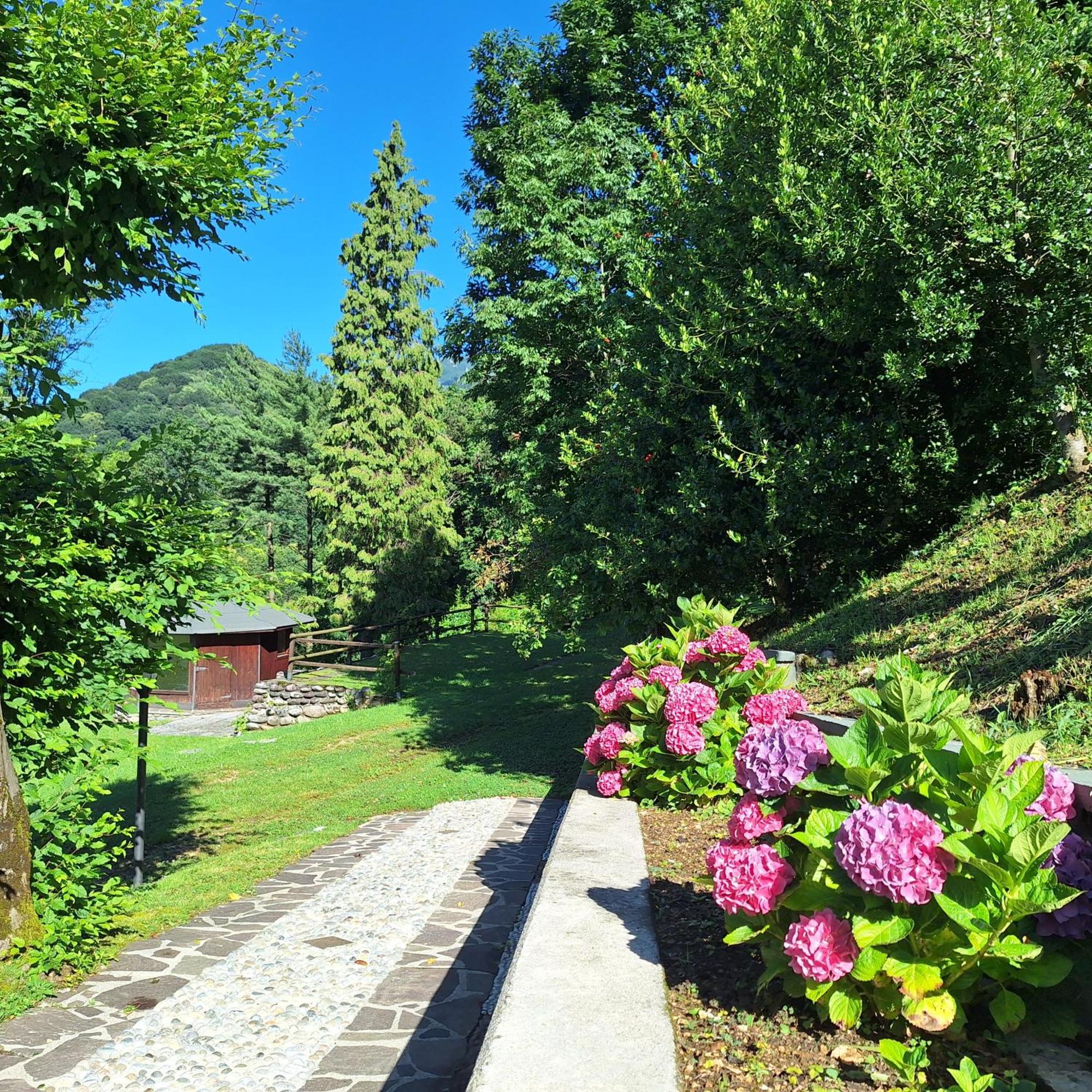 Villa Duno A Un Passo Da Citta Alta Кланеццо Экстерьер фото